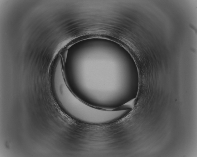 X0000091451022200709131711