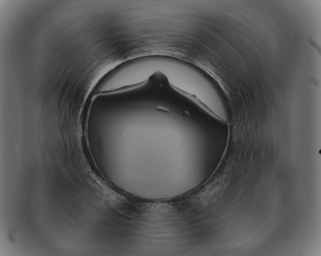 X0000091451024200709131711