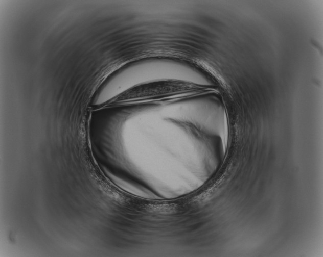 X0000091451025200709131711