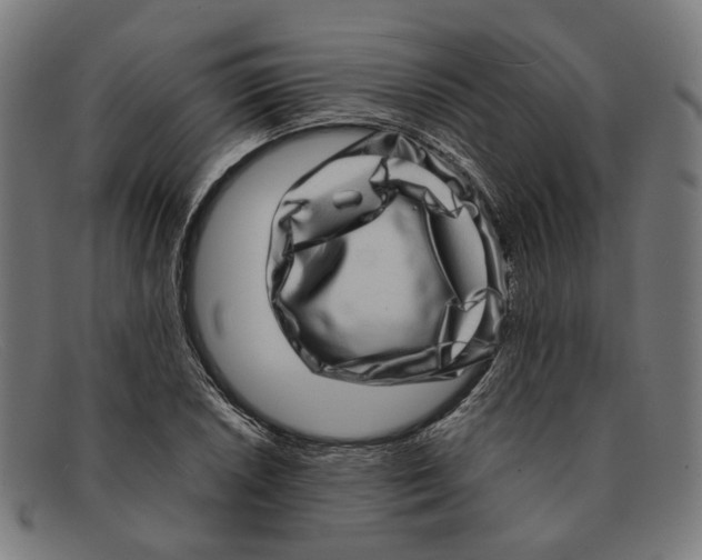 X0000091451026200709131711