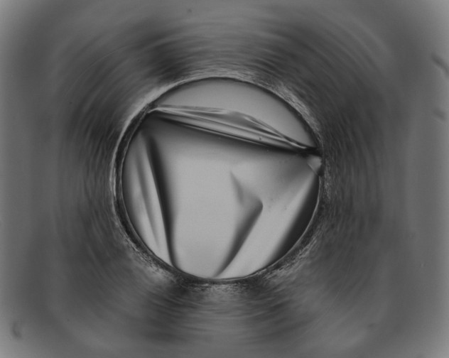 X0000091451028200709131711