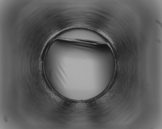 X0000091451029200709131711
