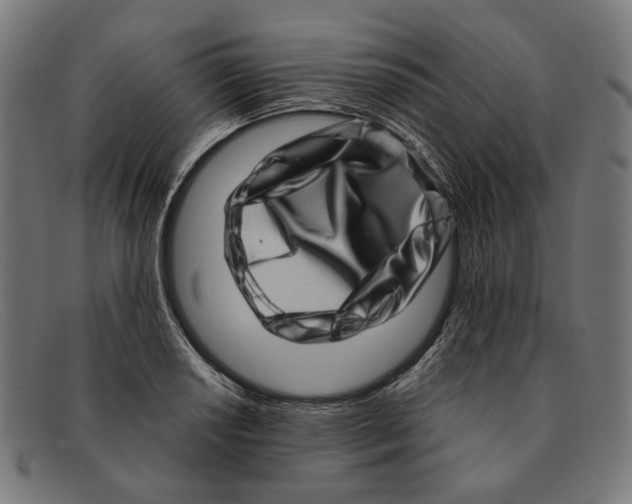 X0000091451034200709131711