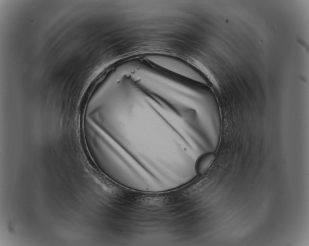 X0000091451035200709131711