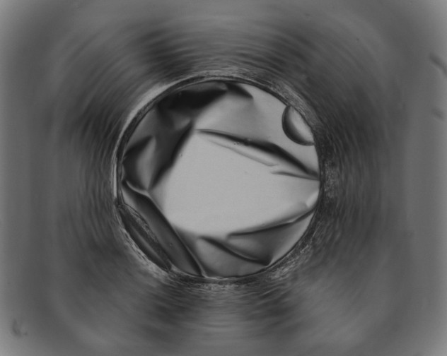 X0000091451036200709131711