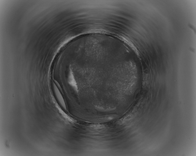 X0000091451037200709131711
