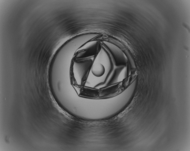X0000091451038200709131711