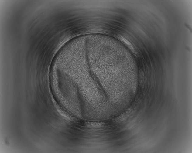 X0000091451039200709131711