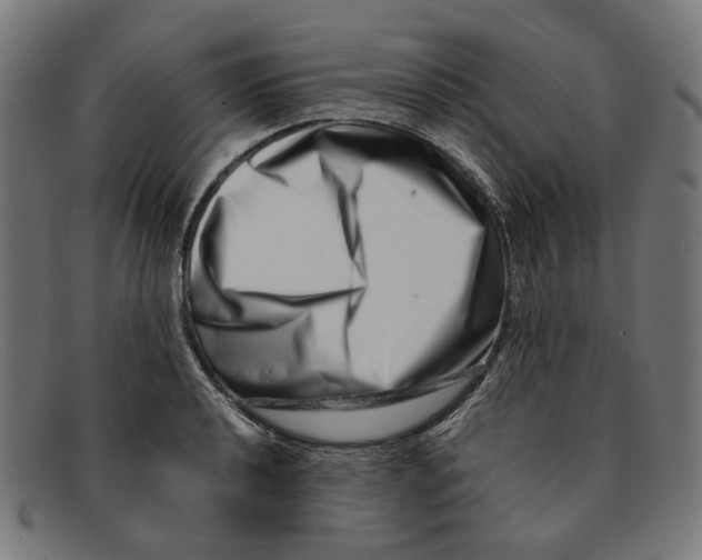 X0000091451040200709131711