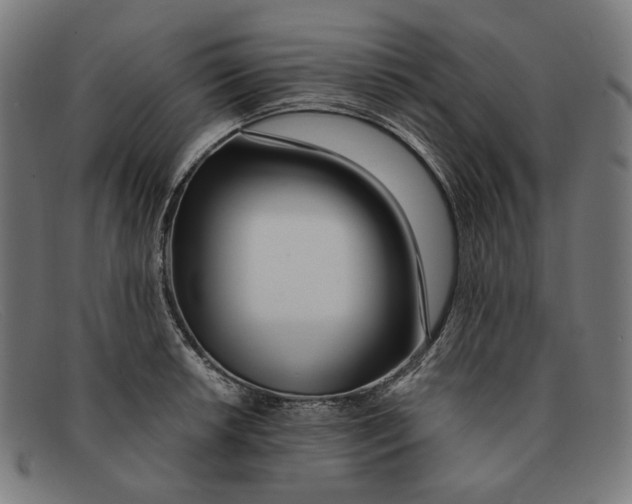 X0000091451042200709131711