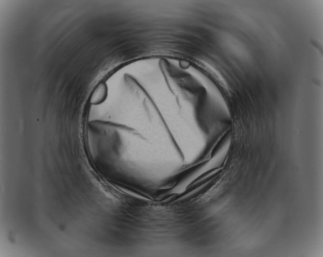 X0000091451043200709131711