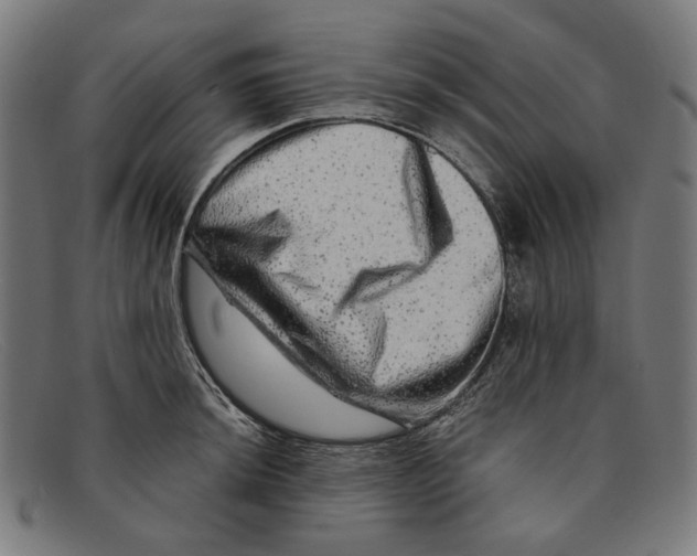X0000091451044200709131711