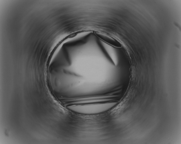 X0000091451048200709131712