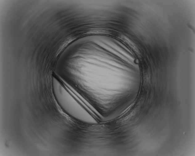 X0000091451049200709131712
