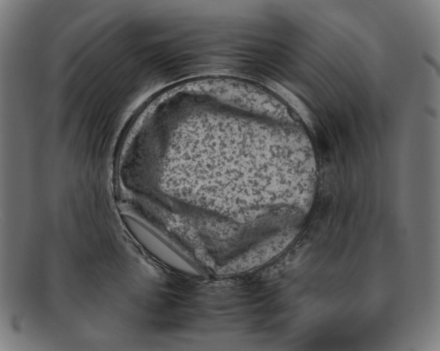 X0000091451051200709131712