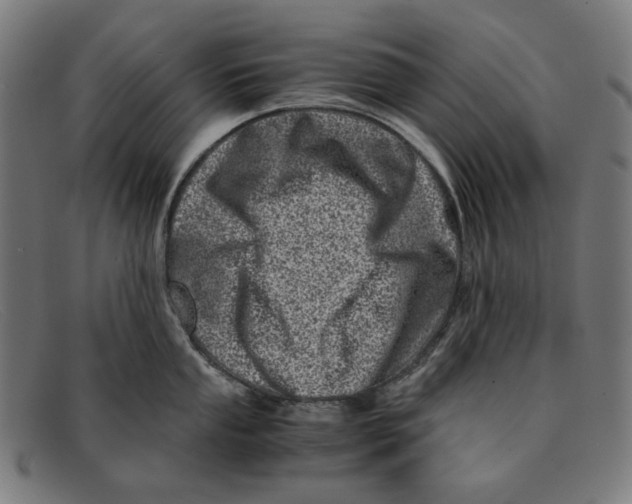 X0000091451053200709131712
