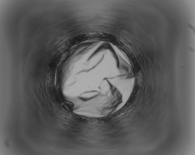 X0000091451059200709131711