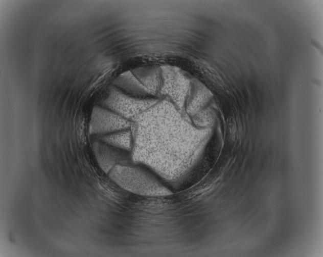 X0000091451060200709131711