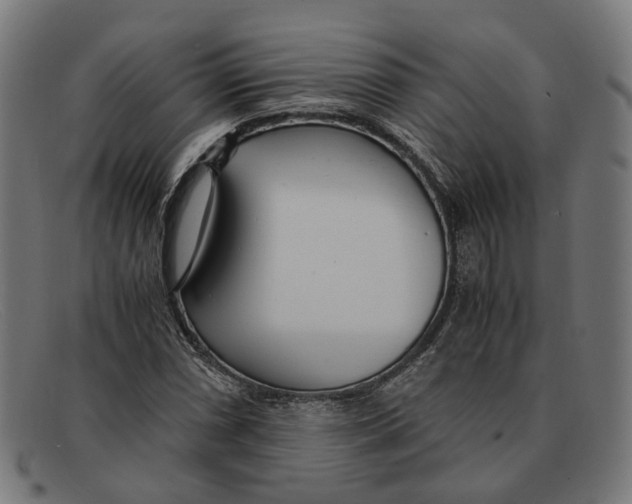 X0000091451066200709131711