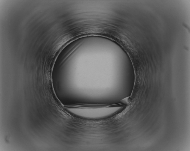 X0000091451073200709131711