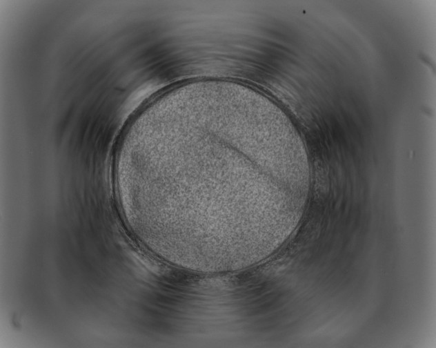 X0000091451078200709131711