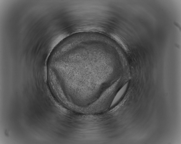 X0000091451079200709131711