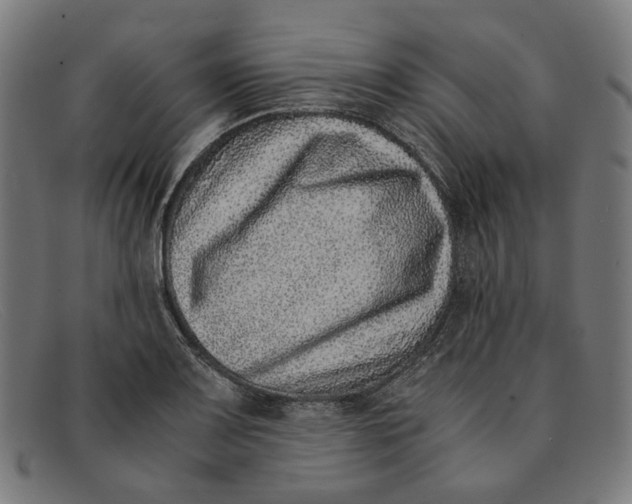 X0000091451083200709131711