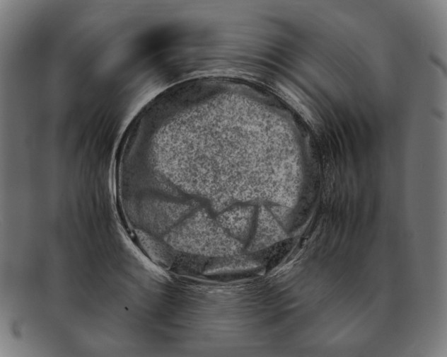 X0000091451084200709131711