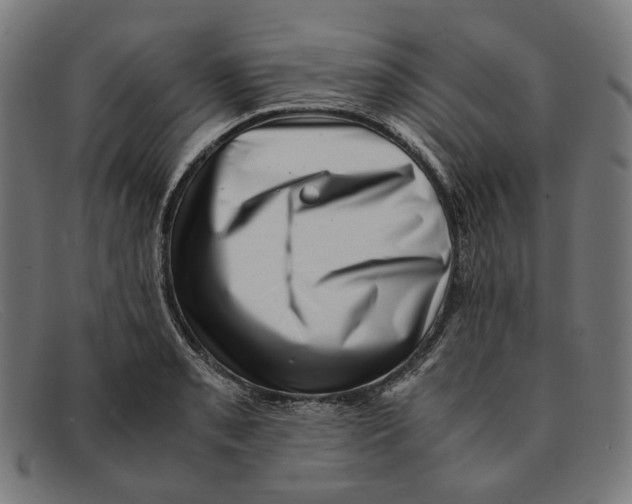 X0000091451085200709131711