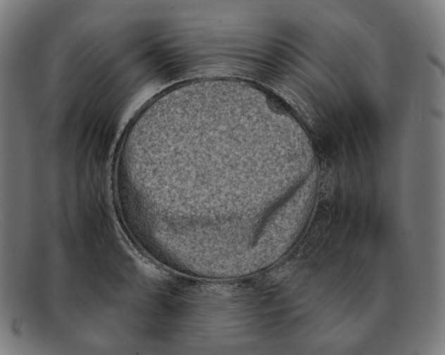 X0000091451086200709131711