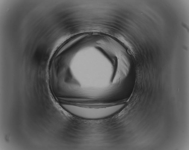 X0000091451088200709131711
