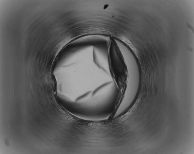 X0000091451089200709131711