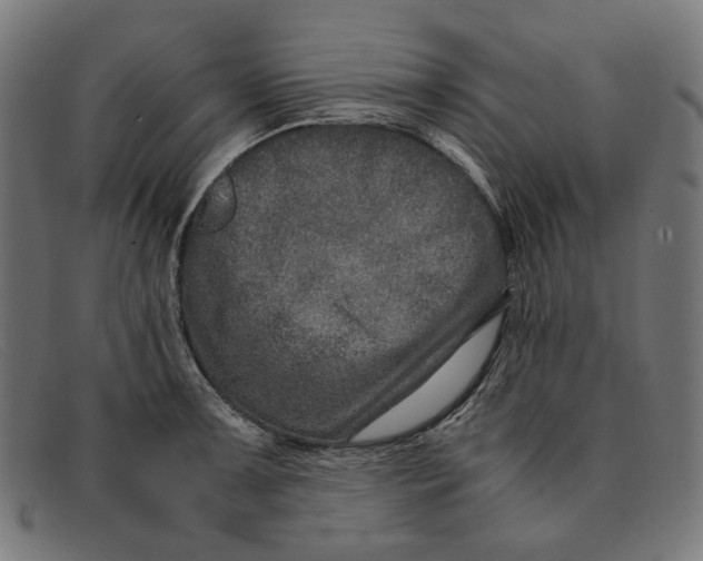 X0000091451091200709131711