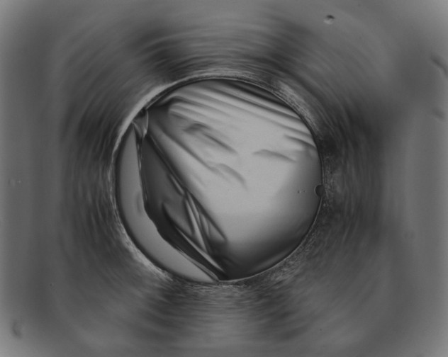 X0000091451092200709131711