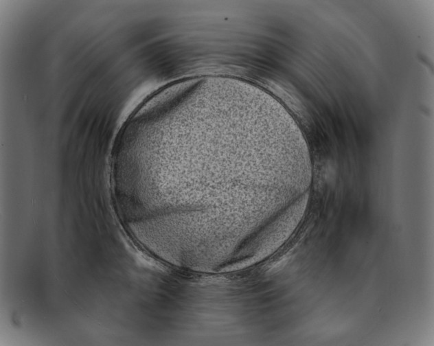 X0000091451094200709131711