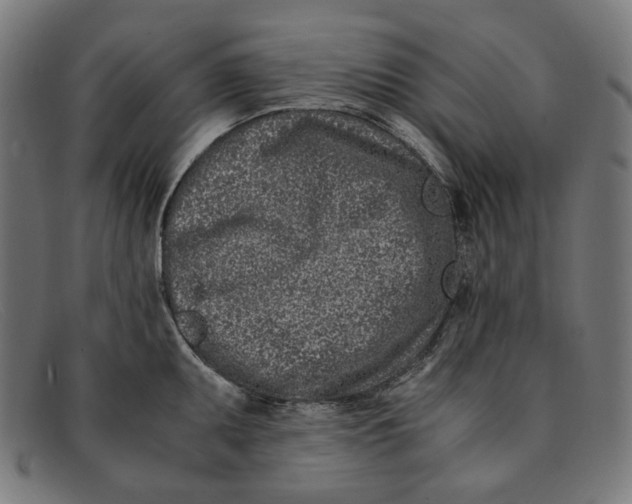 X0000091451095200709131711