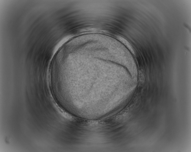 X0000091451098200709131711