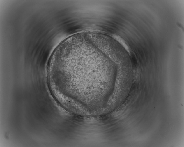 X0000091451099200709131711