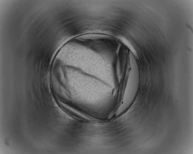 X0000091451100200709131711
