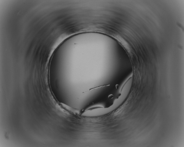 X0000091451102200709131711