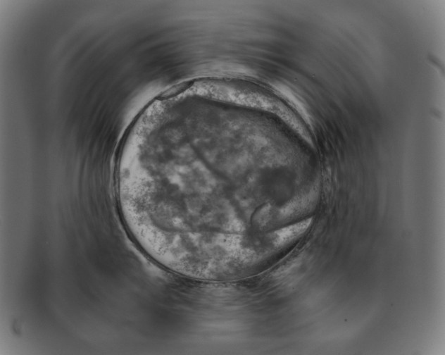 X0000091451103200709131711