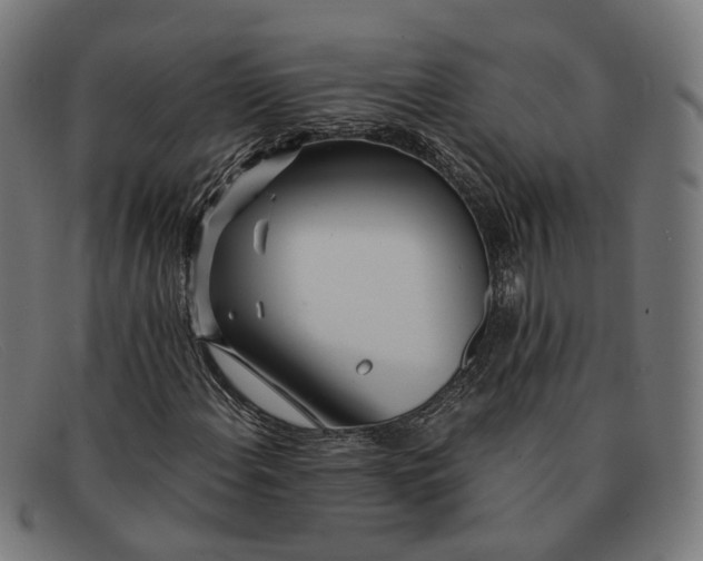 X0000091451108200709131710