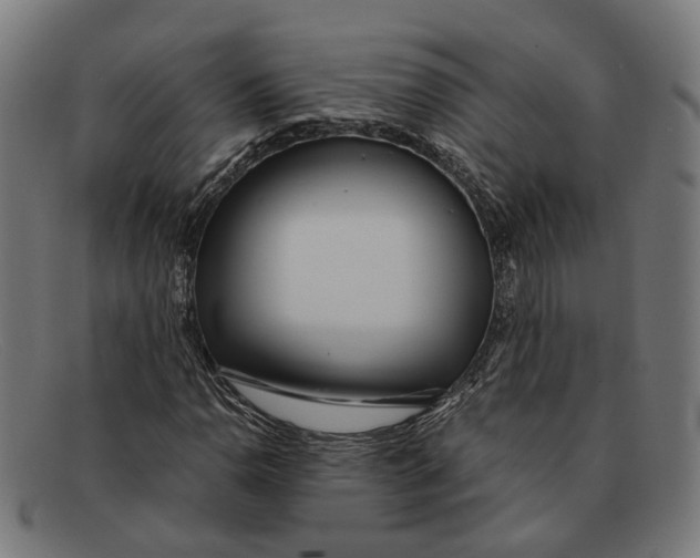X0000091451110200709131710