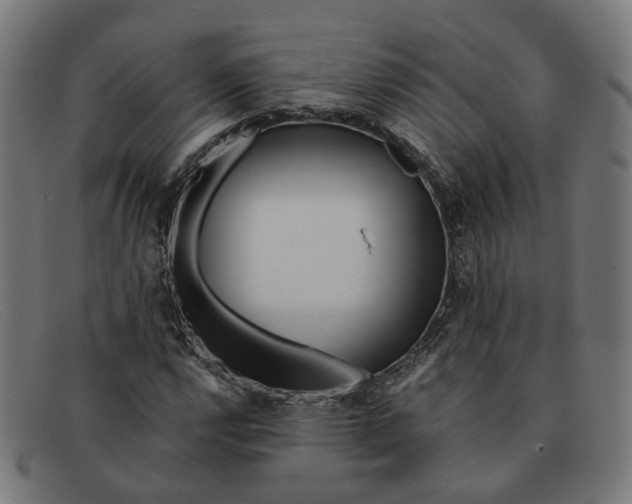 X0000091451112200709131710