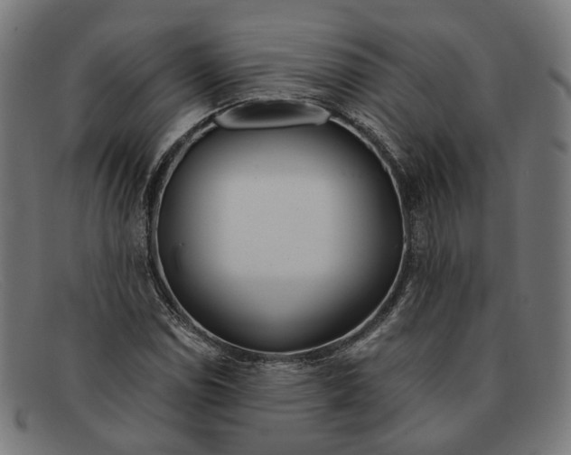 X0000091451114200709131710