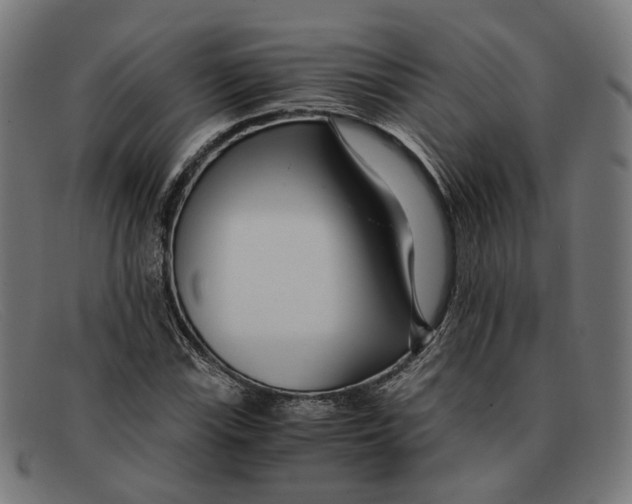 X0000091451115200709131710