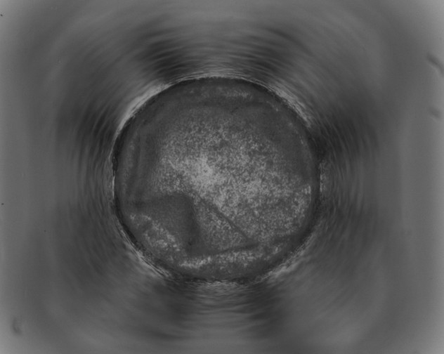 X0000091451117200709131710