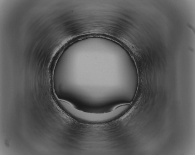 X0000091451118200709131710