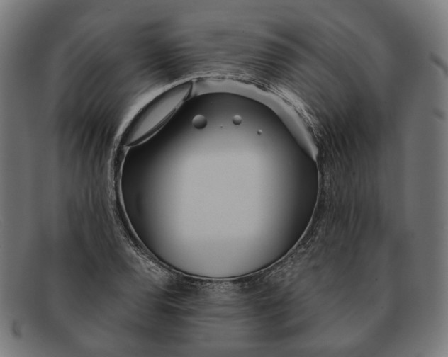 X0000091451120200709131710