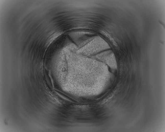 X0000091451121200709131710